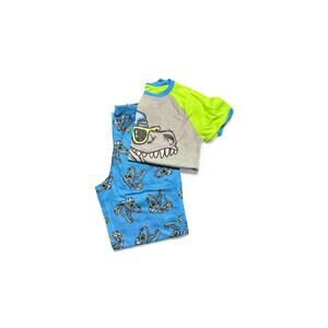 Boys Size XL (14/16) Jellifish Brand Dinosaur Pajamas